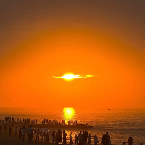 唐校长罗莉金选
