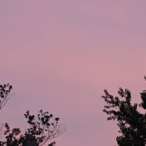 老婆的健身房练瑜伽
