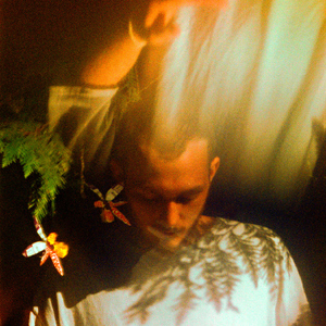 残忍的㓜交在线观看
