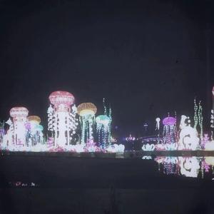 黄片三级免费无码
