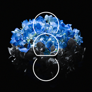 极端拳头 极端 疼痛
