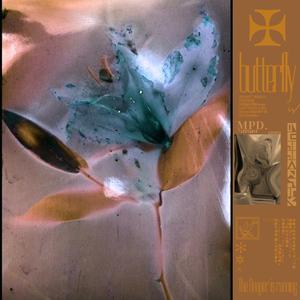 国外变态性虐视频
