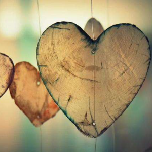 唐校长罗莉金选
