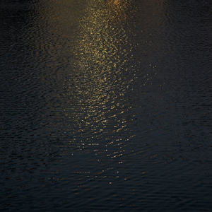 张家界小白龙16分钟演出网盘
