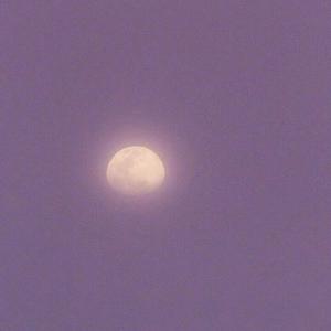 亚洲av网址网站
