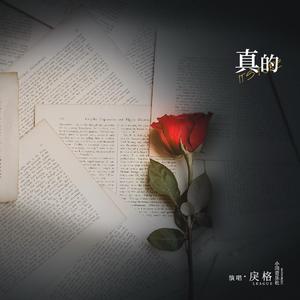 唐校长罗莉金选
