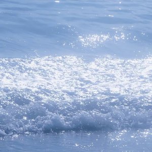 久久无码国产精品
