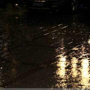 中国唯一一次黑毛时装秀
