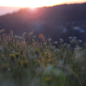被舌头伸进去高潮过程

