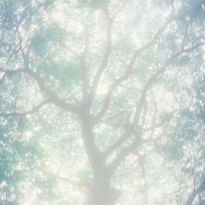 av福利在线观看不卡免费
