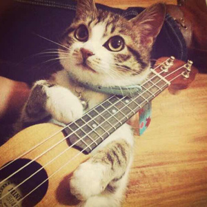 偷玩男生大jiji㊙️免费网站
