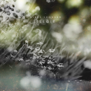 美女搞笑逼逼图
