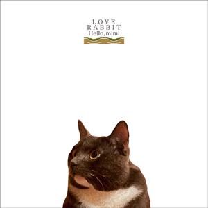 真人真事破女处苞
