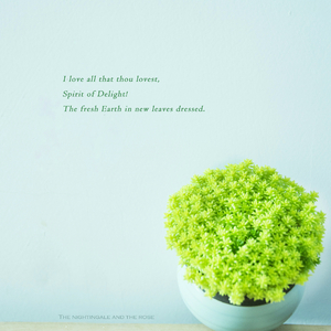 花核心塞满花核心
