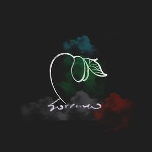 唐校长罗莉金选
