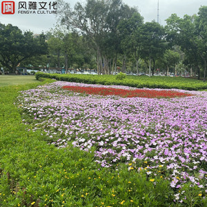 嫩BⅩ嫩B十嫩Bx嫰B
