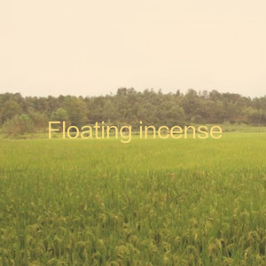 国 产 日 韩 欧 美 a v
