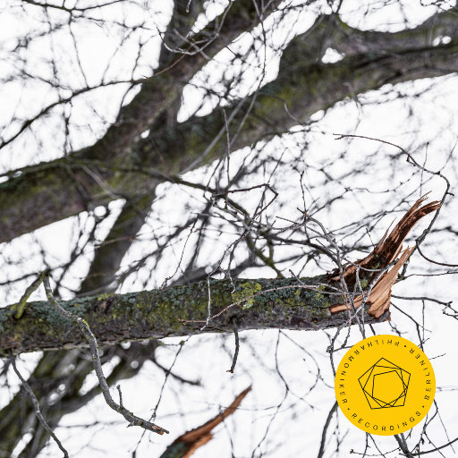 日本男添女逼性爱毛片
